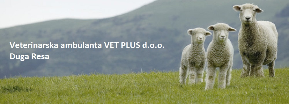 VETERINARSKA AMBULANTA VET PLUS d.o.o.